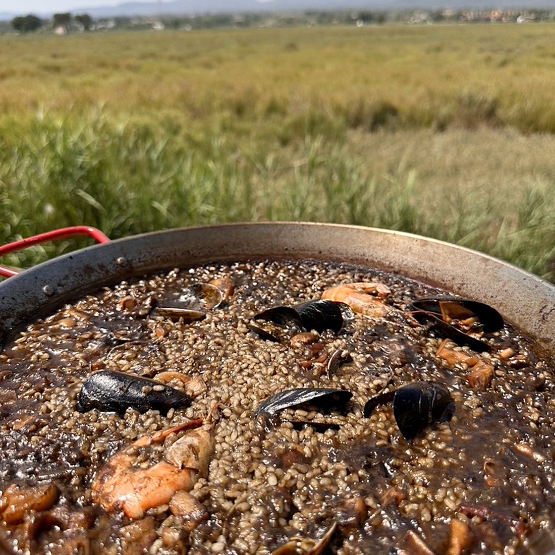 Arròs negre del Delta amb els arrossars al fons