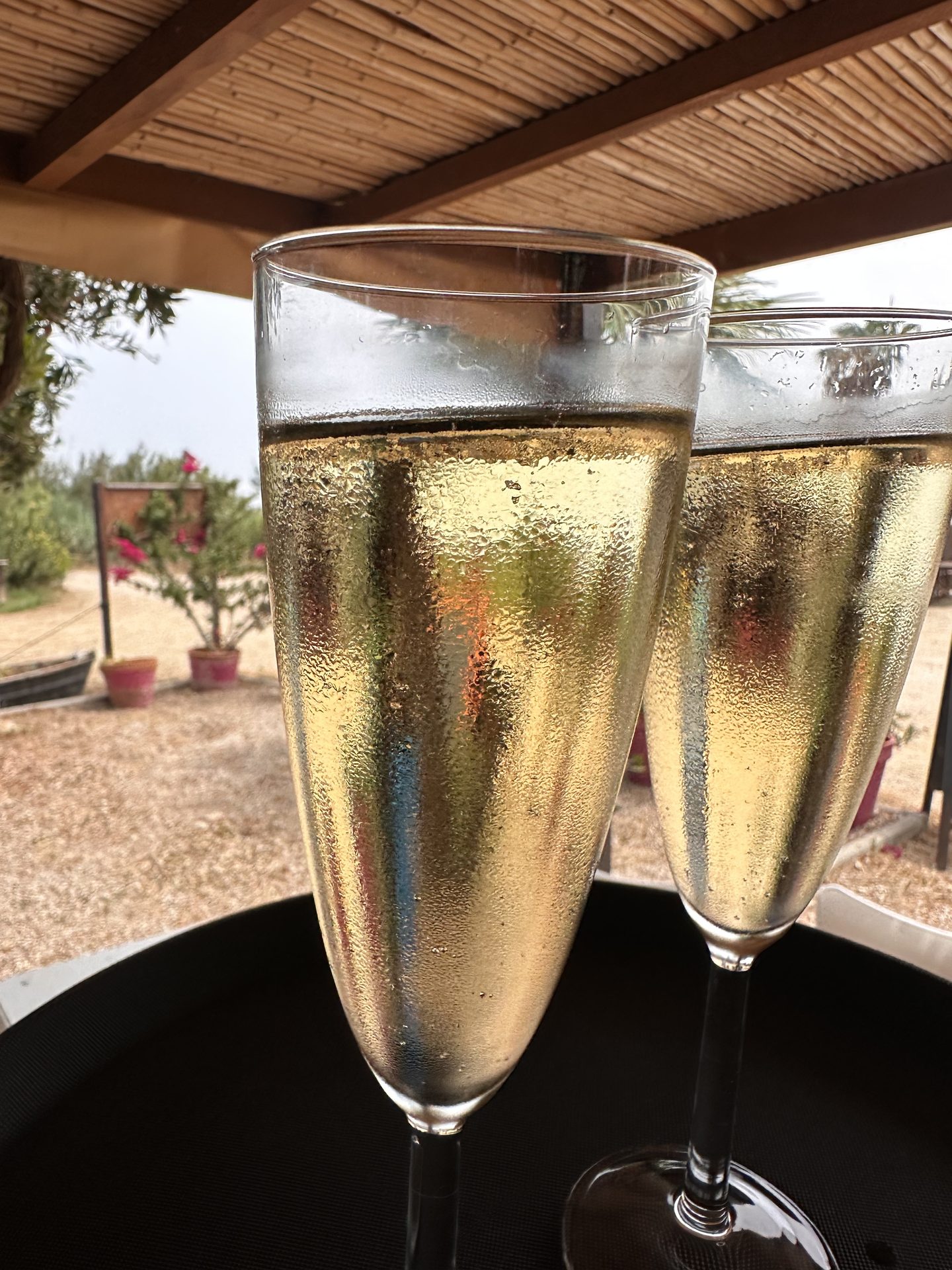 Dues copes de cava a la terrassa