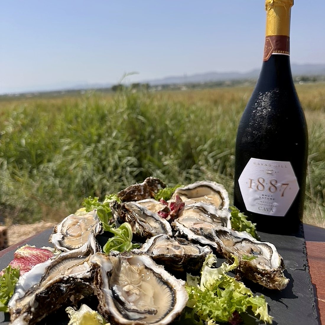 Cava i ostres del Delta davant dels camps d'arròs