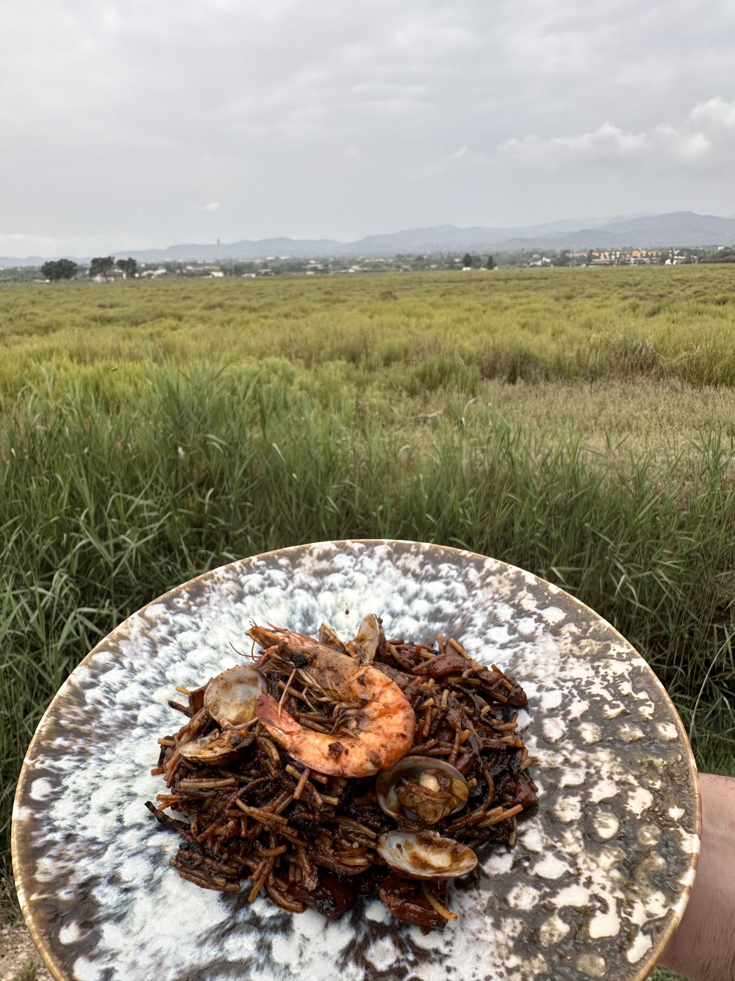 Fideuà de marisc amb els aiguamolls del Delta al fons